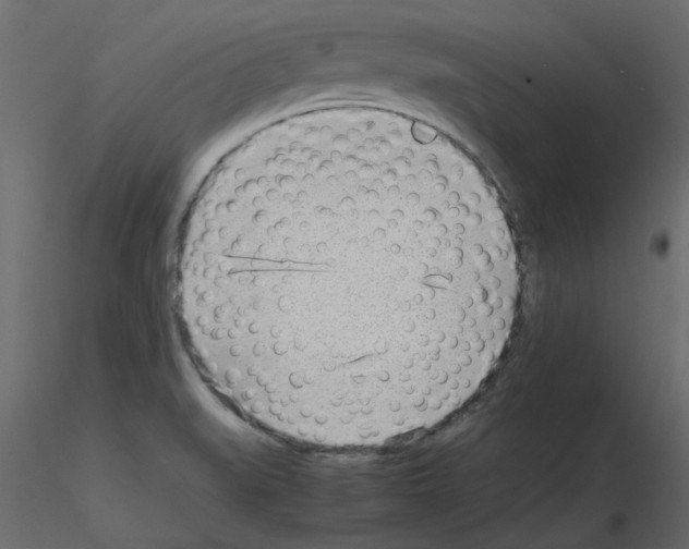 X0000115681519200912241430