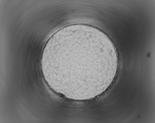 X0000115681521200912241430