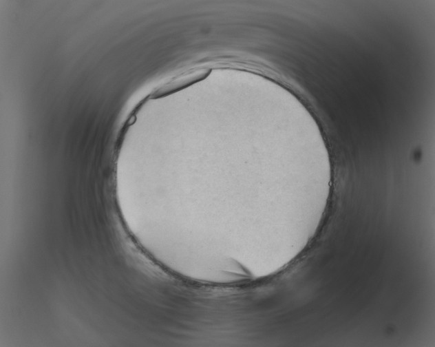 X0000115681522200912241430