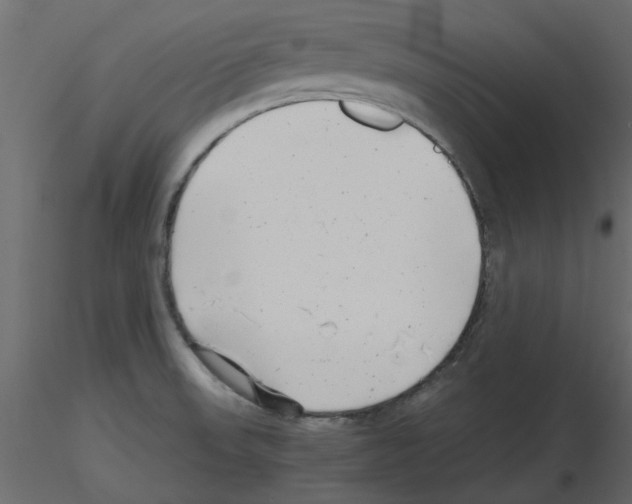 X0000115681523200912241430