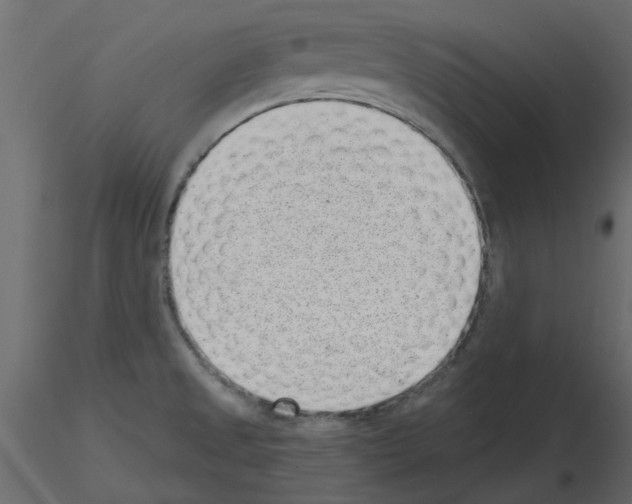 X0000115681525200912241430