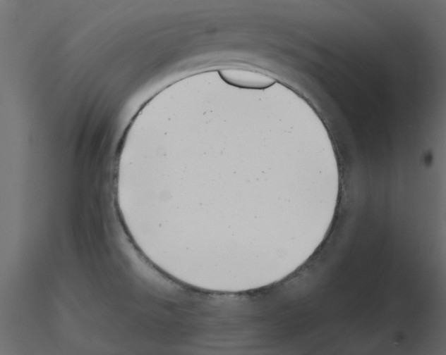 X0000115681526200912241430
