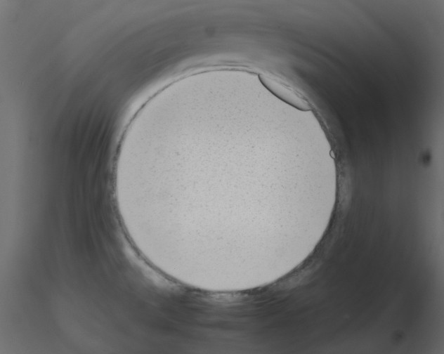 X0000115681527200912241430