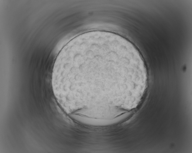 X0000115681529200912241430
