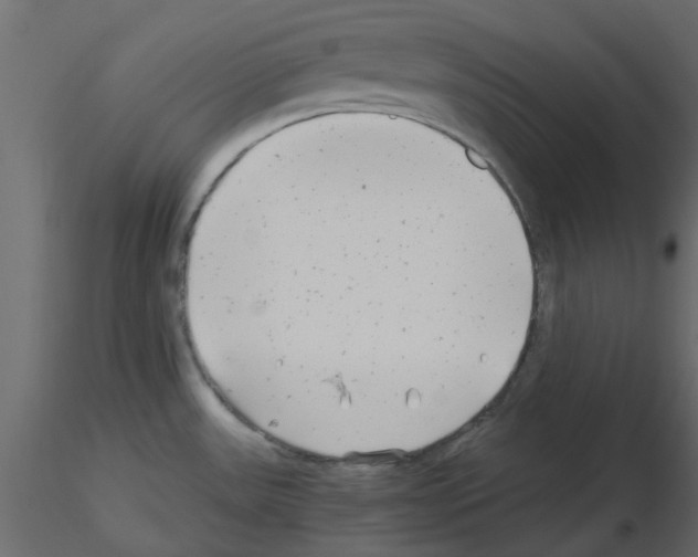 X0000115681531200912241430