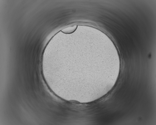 X0000115681533200912241430