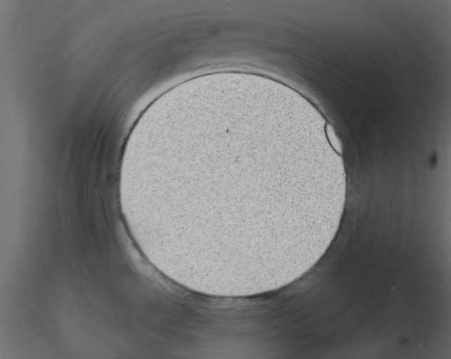 X0000115681534200912241430