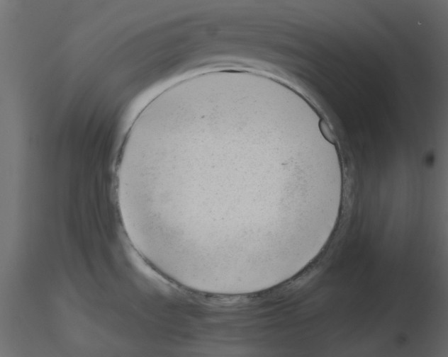 X0000115681535200912241430