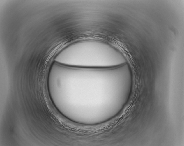 X0000115690001200911121017