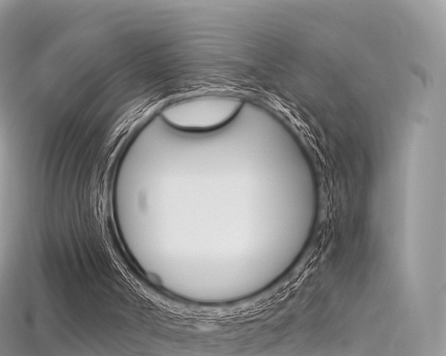 X0000115690002200911121017