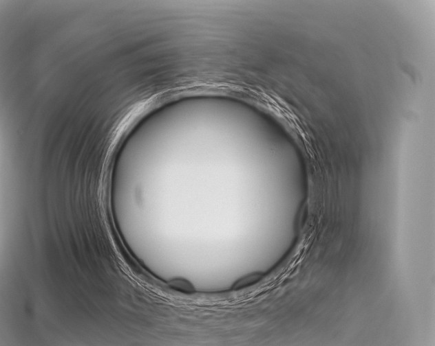 X0000115690003200911121017