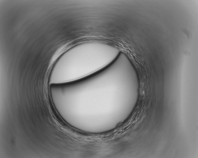 X0000115690004200911121017