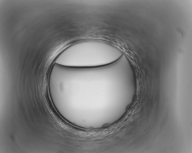 X0000115690005200911121017