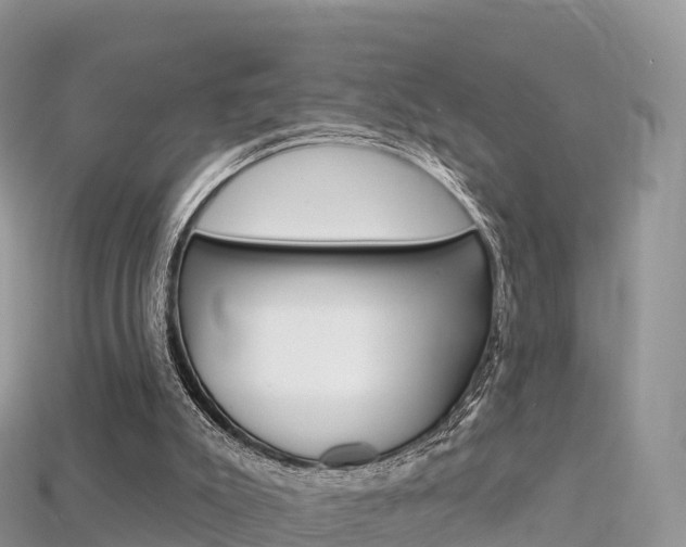 X0000115690007200911121017