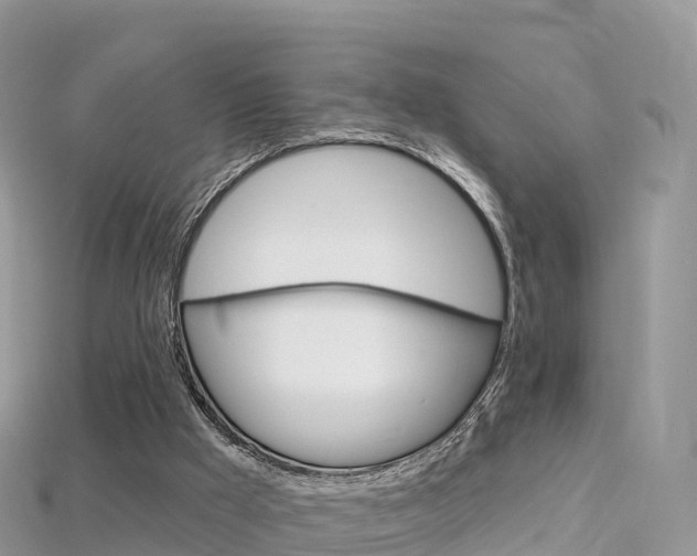X0000115690009200911121017