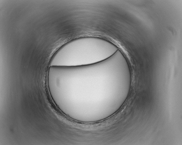 X0000115690010200911121017