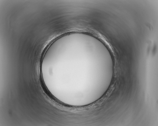 X0000115690011200911121017