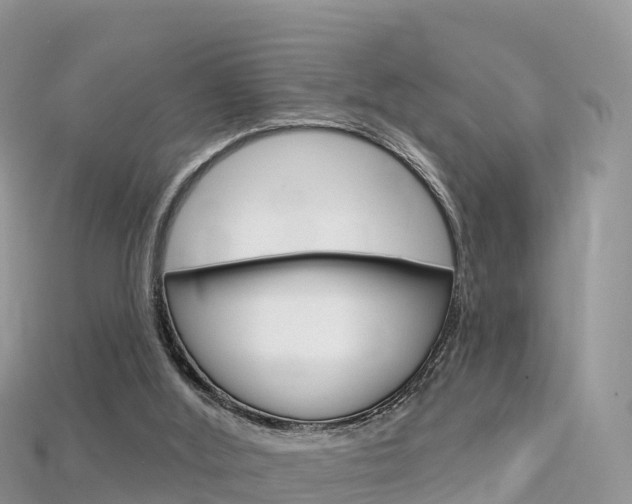 X0000115690012200911121017