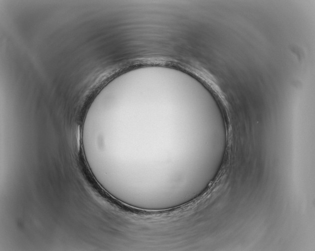 X0000115690013200911121017
