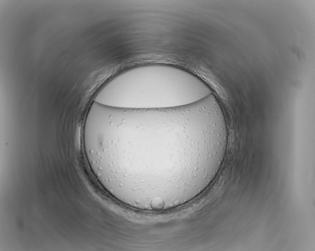 X0000115690014200911121017