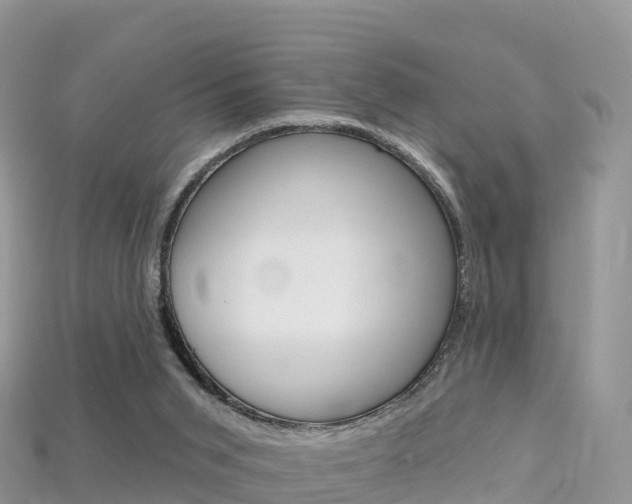 X0000115690015200911121017