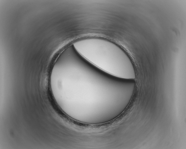 X0000115690016200911121017