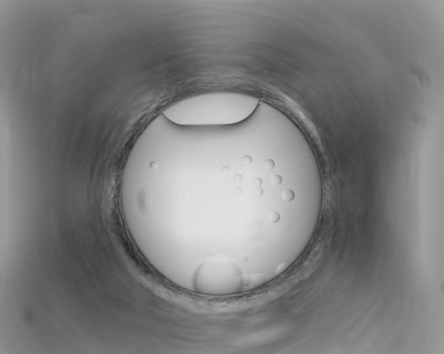 X0000115690018200911121017
