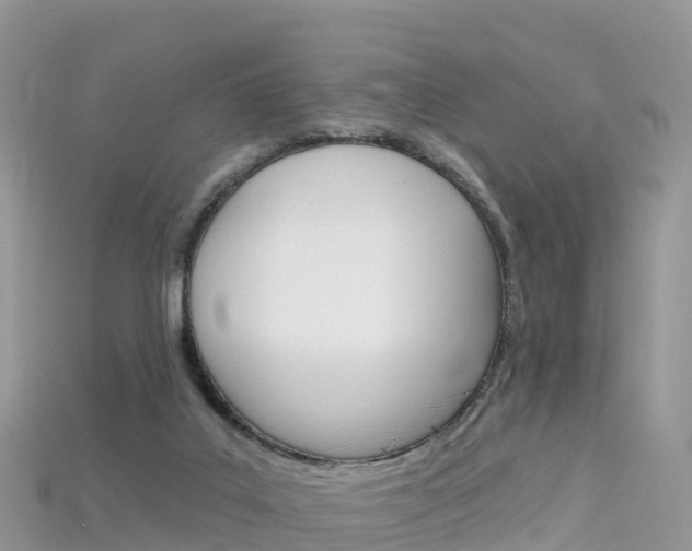 X0000115690019200911121017