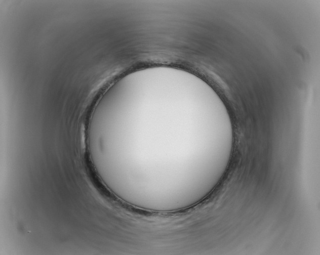 X0000115690020200911121017