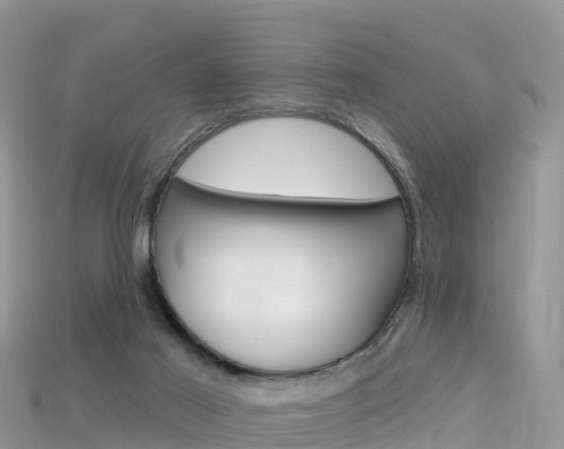 X0000115690021200911121017