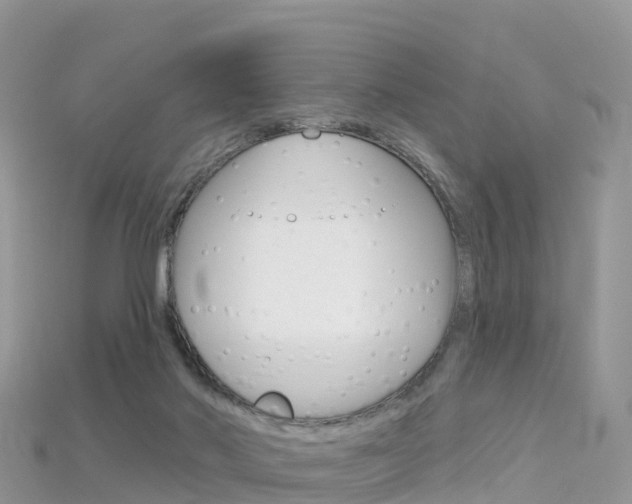 X0000115690022200911121017