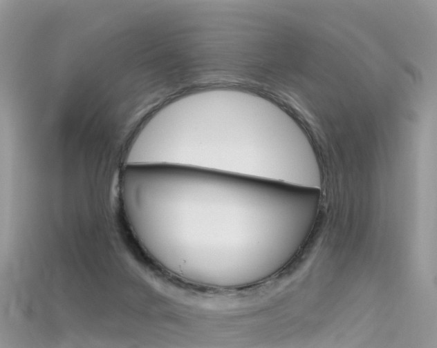 X0000115690024200911121017