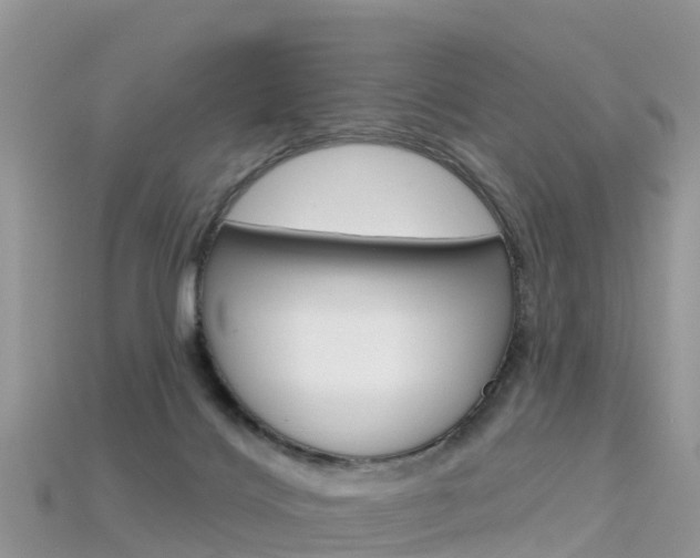 X0000115690028200911121017