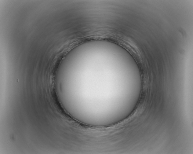 X0000115690029200911121017