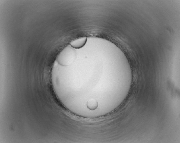 X0000115690030200911121017