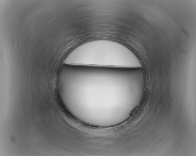 X0000115690036200911121017