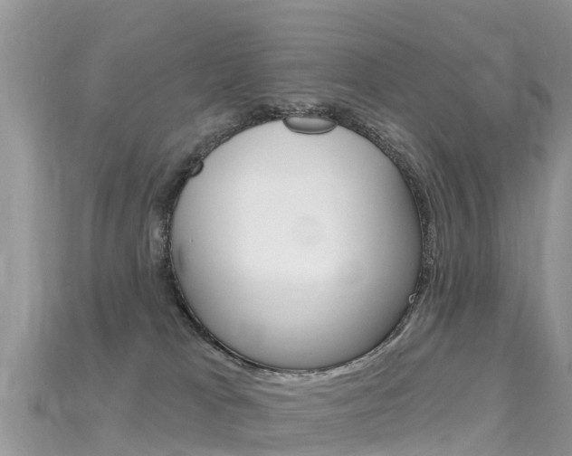 X0000115690037200911121017