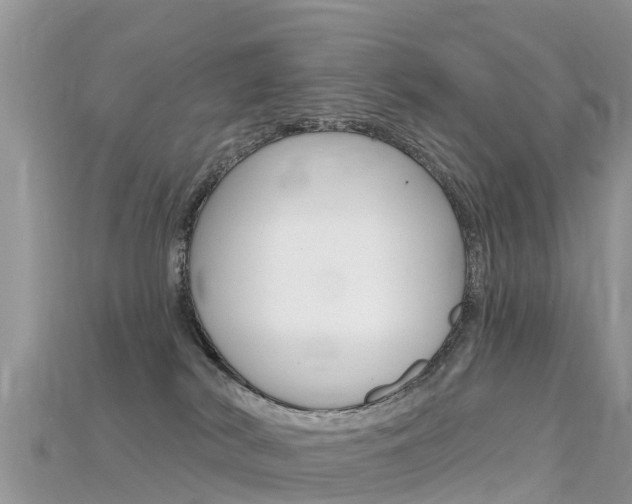 X0000115690038200911121017