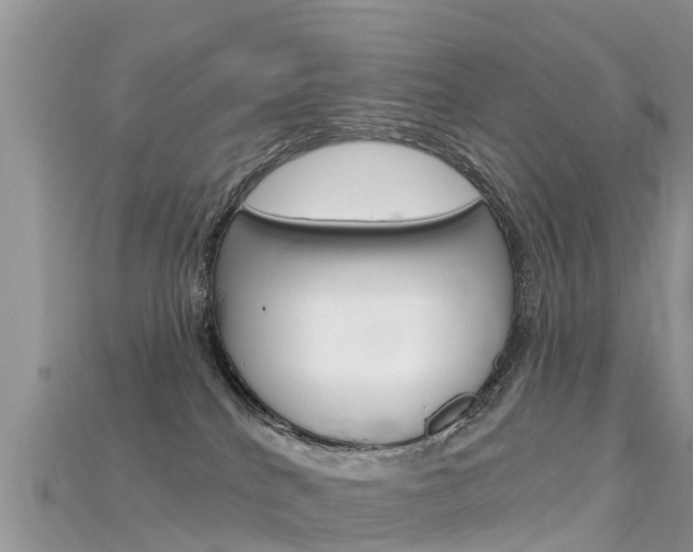 X0000115690040200911121017