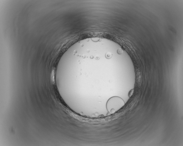X0000115690042200911121017