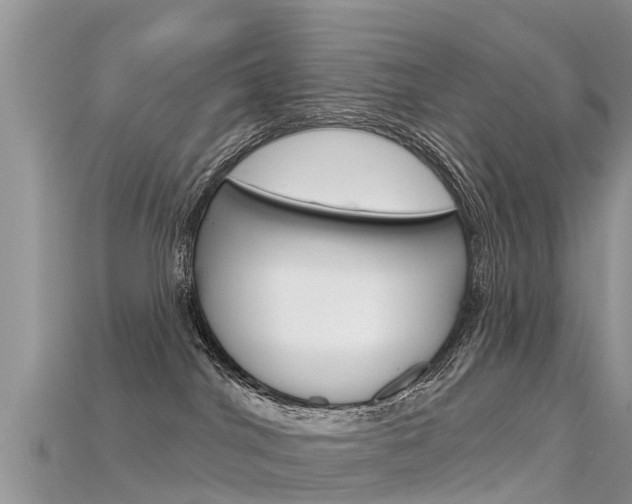 X0000115690044200911121017