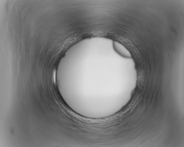 X0000115690046200911121017
