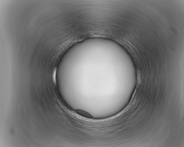 X0000115690047200911121017