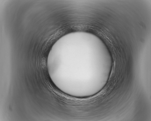 X0000115690048200911121017
