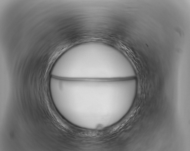 X0000115690049200911121016