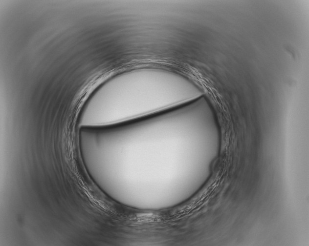 X0000115690050200911121016