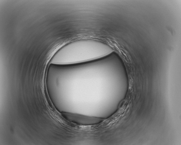 X0000115690052200911121016