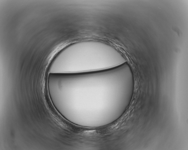 X0000115690054200911121016