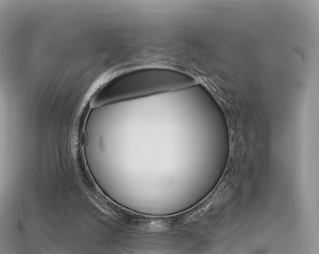 X0000115690056200911121016