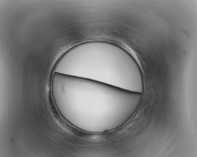 X0000115690059200911121016